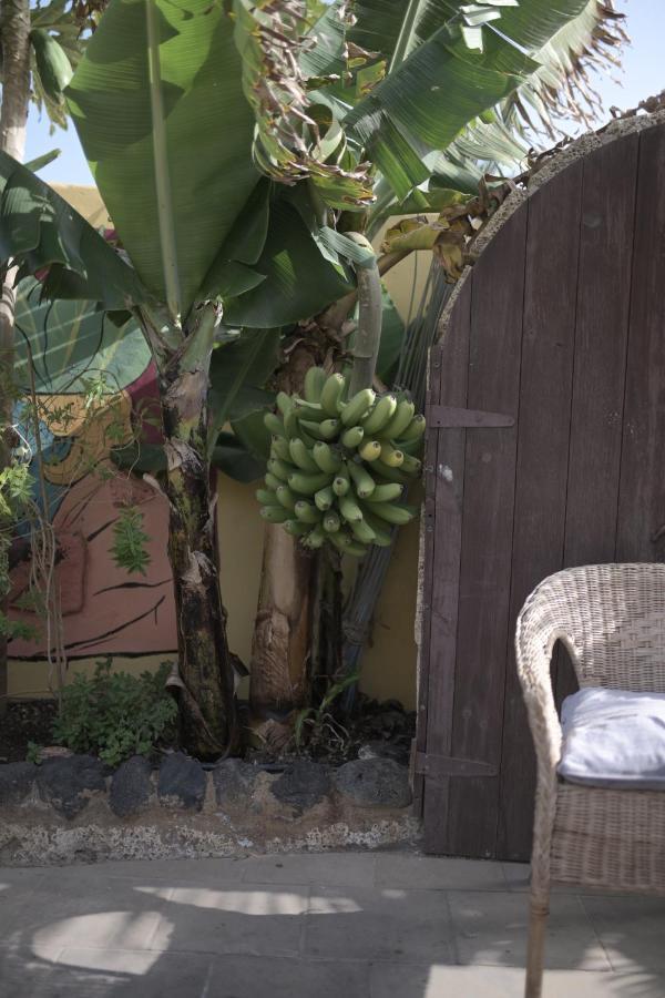 Hostal Amigos Tenerife La Mareta